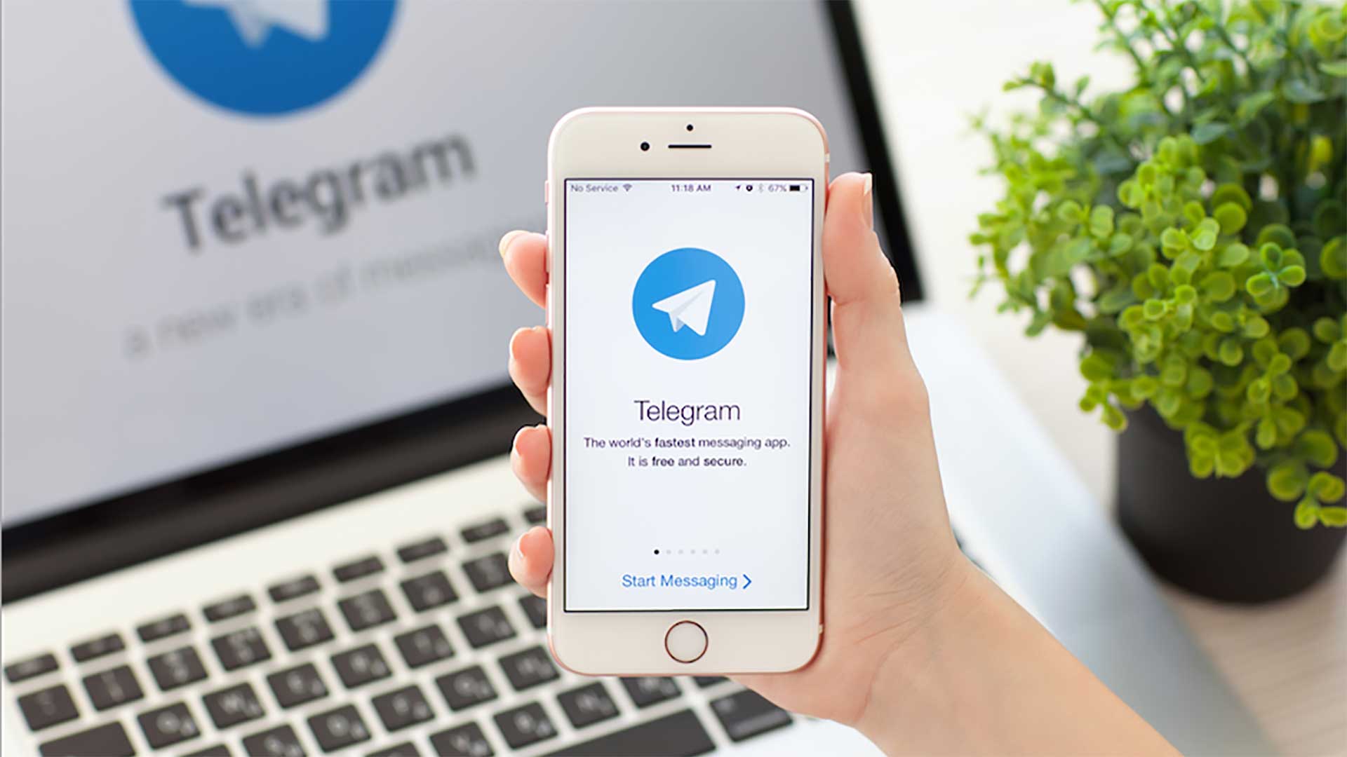 telegram